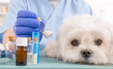 shutterstock_401275423