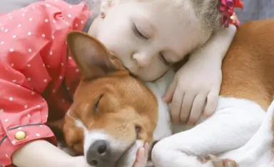 shutterstock_791968978